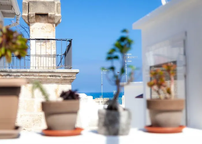 Torreparadiso Holidays *