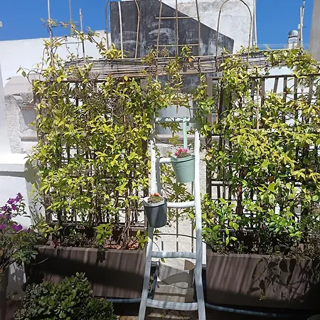 Appartement Torreparadiso Holidays *