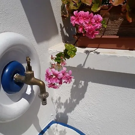 Torreparadiso Holidays شقة *